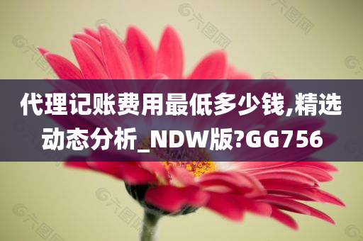 代理记账费用最低多少钱,精选动态分析_NDW版?GG756