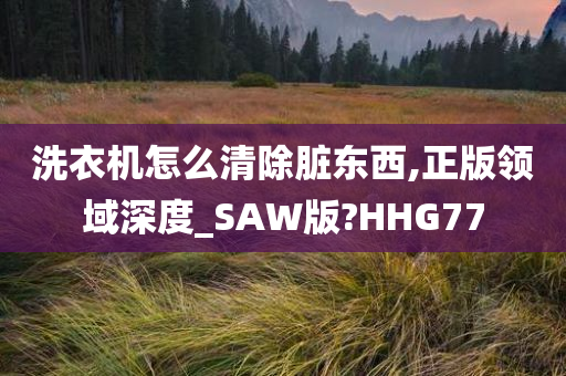 洗衣机怎么清除脏东西,正版领域深度_SAW版?HHG77