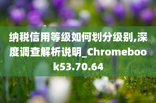 纳税信用等级如何划分级别,深度调查解析说明_Chromebook53.70.64