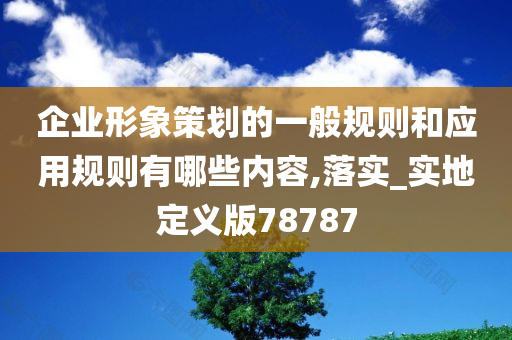 企业形象策划的一般规则和应用规则有哪些内容,落实_实地定义版78787