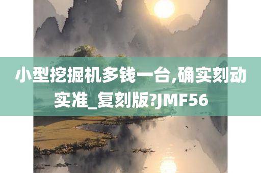 小型挖掘机多钱一台,确实刻动实准_复刻版?JMF56