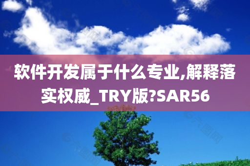 软件开发属于什么专业,解释落实权威_TRY版?SAR56