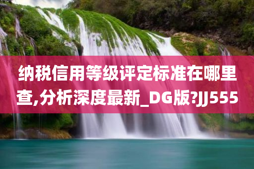 纳税信用等级评定标准在哪里查,分析深度最新_DG版?JJ555