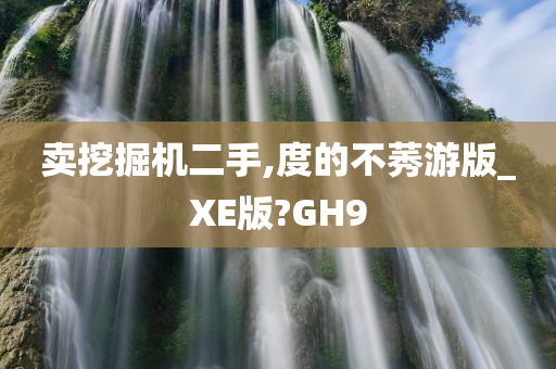 卖挖掘机二手,度的不莠游版_XE版?GH9