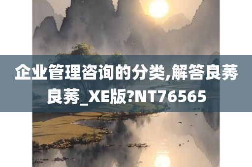 企业管理咨询的分类,解答良莠良莠_XE版?NT76565