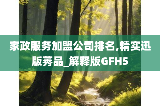 家政服务加盟公司排名,精实迅版莠品_解释版GFH5