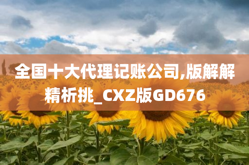 全国十大代理记账公司,版解解精析挑_CXZ版GD676