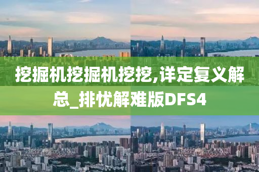 挖掘机挖掘机挖挖,详定复义解总_排忧解难版DFS4