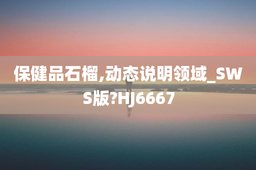 保健品石榴,动态说明领域_SWS版?HJ6667