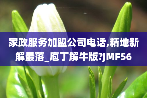 家政服务加盟公司电话,精地新解最落_庖丁解牛版?JMF56