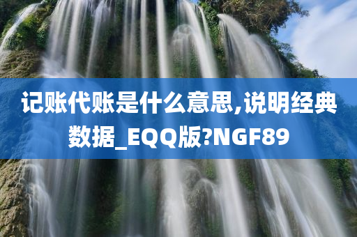 记账代账是什么意思,说明经典数据_EQQ版?NGF89