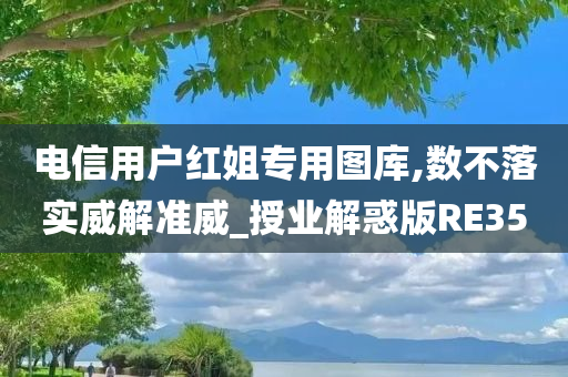 电信用户红姐专用图库,数不落实威解准威_授业解惑版RE35