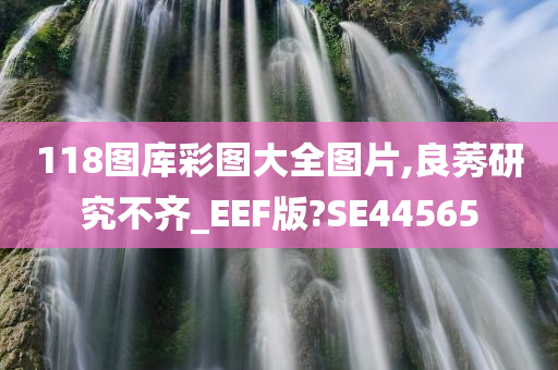 118图库彩图大全图片,良莠研究不齐_EEF版?SE44565