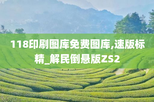 118印刷图库免费图库,速版标精_解民倒悬版ZS2