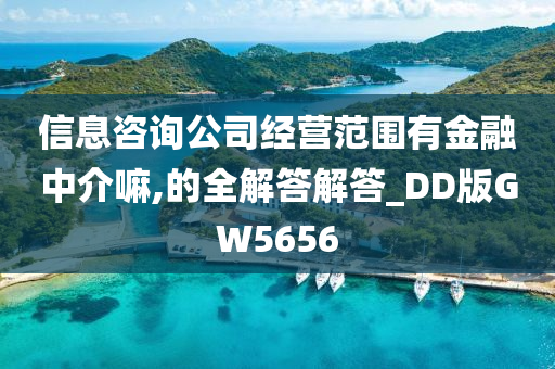 信息咨询公司经营范围有金融中介嘛,的全解答解答_DD版GW5656