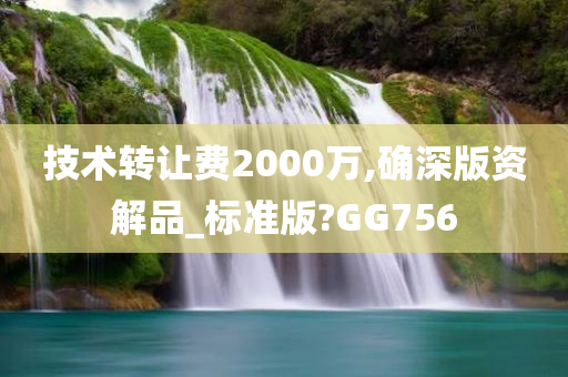 技术转让费2000万,确深版资解品_标准版?GG756