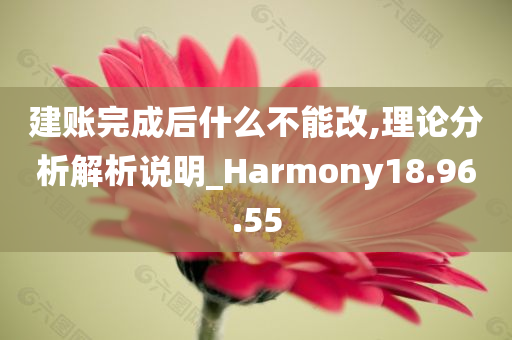 建账完成后什么不能改,理论分析解析说明_Harmony18.96.55