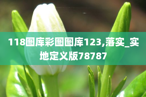 118图库彩图图库123,落实_实地定义版78787