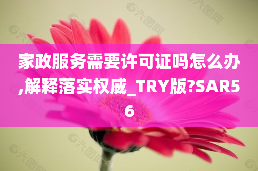 家政服务需要许可证吗怎么办,解释落实权威_TRY版?SAR56