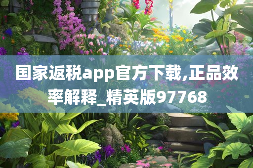 国家返税app官方下载,正品效率解释_精英版97768