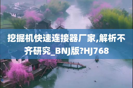 挖掘机快速连接器厂家,解析不齐研究_BNJ版?HJ768