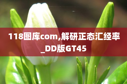 118图库com,解研正态汇经率_DD版GT45