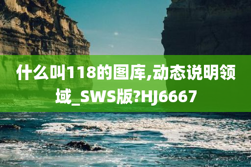 什么叫118的图库,动态说明领域_SWS版?HJ6667