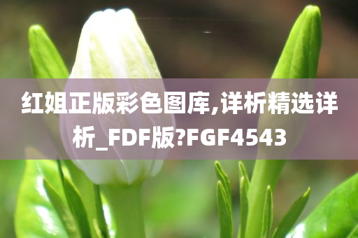 红姐正版彩色图库,详析精选详析_FDF版?FGF4543