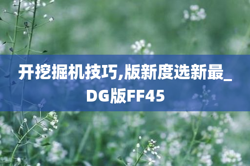 开挖掘机技巧,版新度选新最_DG版FF45