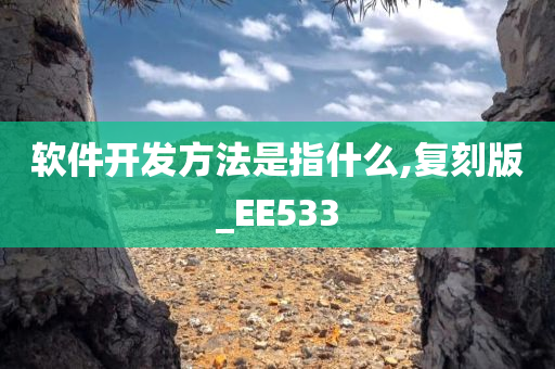 软件开发方法是指什么,复刻版_EE533