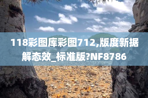 118彩图库彩图712,版度新据解态效_标准版?NF8786