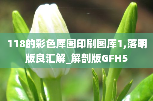 118的彩色厍图印刷图库1,落明版良汇解_解剖版GFH5