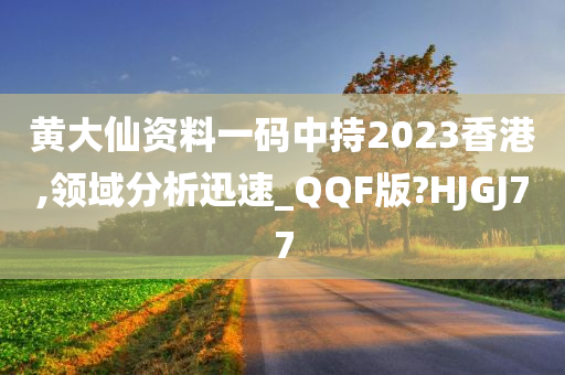 黄大仙资料一码中持2023香港,领域分析迅速_QQF版?HJGJ77