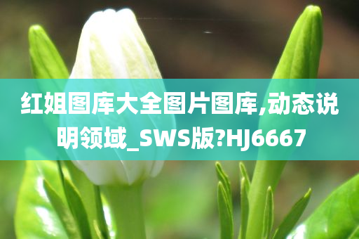 红姐图库大全图片图库,动态说明领域_SWS版?HJ6667