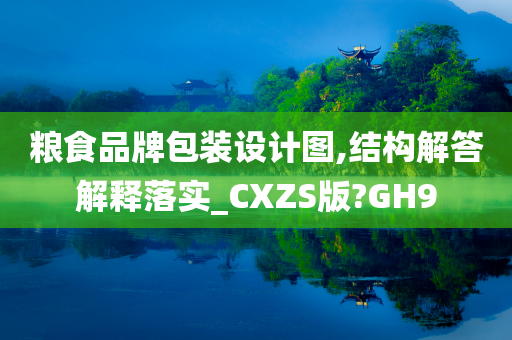 粮食品牌包装设计图,结构解答解释落实_CXZS版?GH9