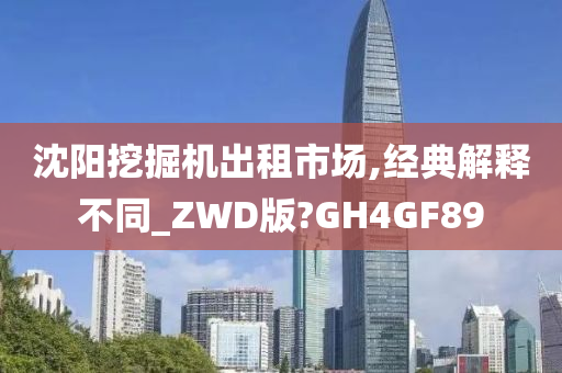 沈阳挖掘机出租市场,经典解释不同_ZWD版?GH4GF89