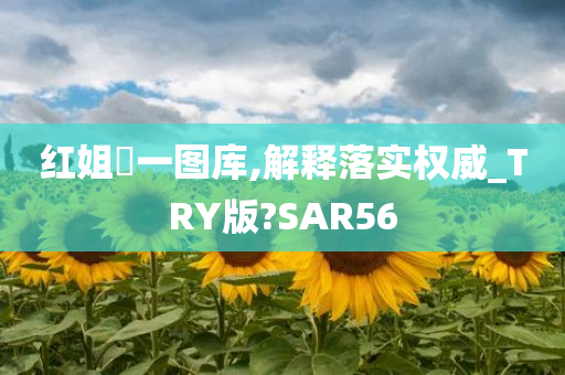 红姐統一图库,解释落实权威_TRY版?SAR56