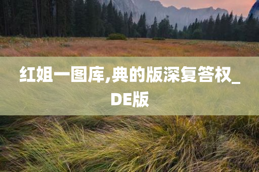 红姐一图库,典的版深复答权_DE版