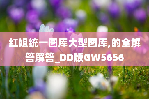 红姐统一图库大型图库,的全解答解答_DD版GW5656