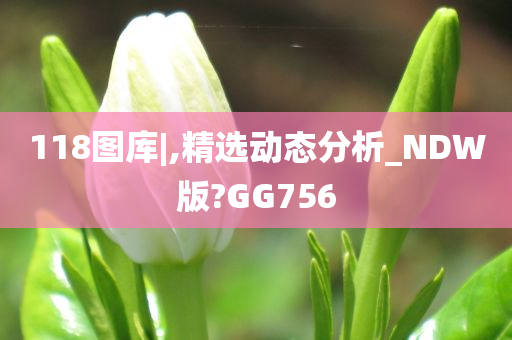 118图库|,精选动态分析_NDW版?GG756