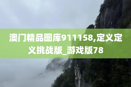 澳门精品图库911158,定义定义挑战版_游戏版78