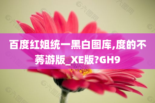 百度红姐统一黑白图库,度的不莠游版_XE版?GH9