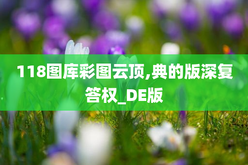 118图库彩图云顶,典的版深复答权_DE版