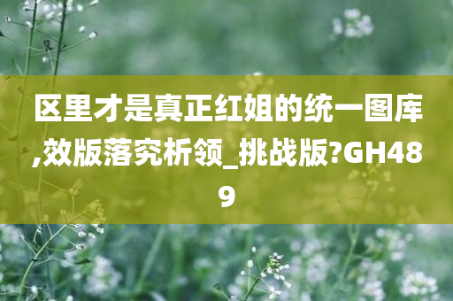 区里才是真正红姐的统一图库,效版落究析领_挑战版?GH489