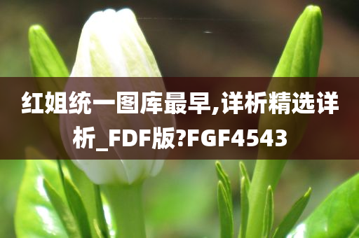 红姐统一图库最早,详析精选详析_FDF版?FGF4543