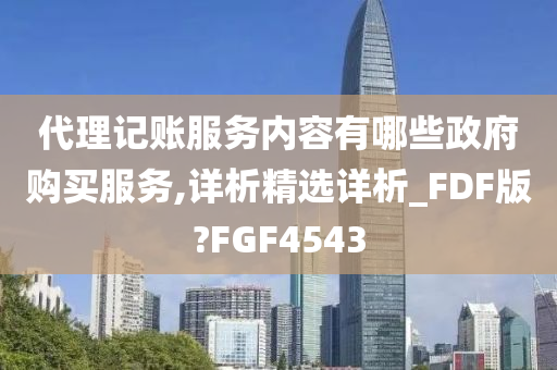 代理记账服务内容有哪些政府购买服务,详析精选详析_FDF版?FGF4543