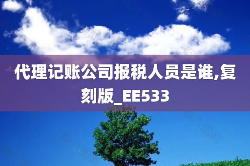 代理记账公司报税人员是谁,复刻版_EE533