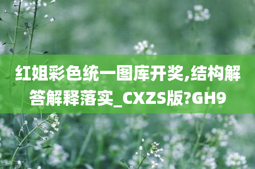 红姐彩色统一图库开奖,结构解答解释落实_CXZS版?GH9