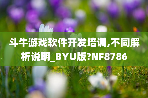 斗牛游戏软件开发培训,不同解析说明_BYU版?NF8786