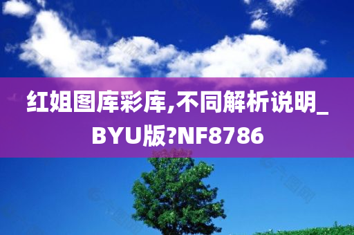 红姐图库彩库,不同解析说明_BYU版?NF8786